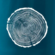 Letokruhy 85 bez věku