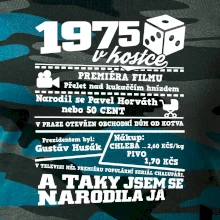 1975 v kostce
