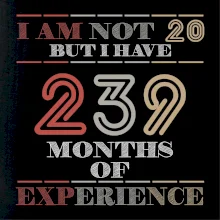 20 years 239 months of experience 20 years 239 months of experience