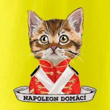 Napoleon domácí kočka