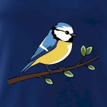 Sýkorka modřinka na větvi