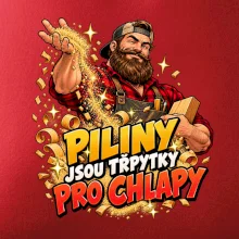 Piliny jsou třpytky pro chlapy - vousatý truhlář