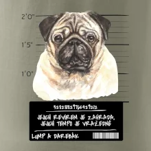 Lump a darebák mopsík