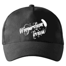 Harry - Wingardium Leviosa