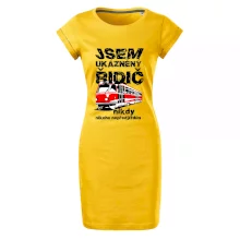 Jsem ukázněný řidič - tramvaj