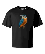 Lednáček kreslený