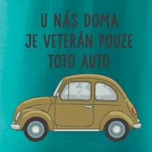 U nás doma je veterán pouze toto auto zelené