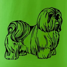 Shih-tzu - chlupatý