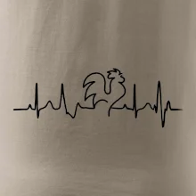 Kohout ekg Kohout ekg