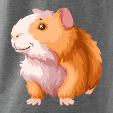 Morče - kreslené, bílo oranžové