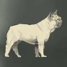Vintage French bulldog