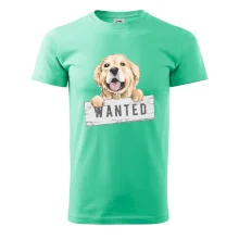Zlatý retriever - štěně wanted