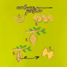 Evoluce pasta