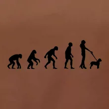 Lagotto romagnolo Evoluce