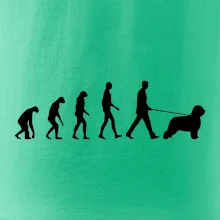 Evoluce pes Briard Evoluce pes Briard