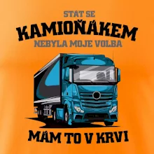 Stát se kamioňákem nebyla moje volba