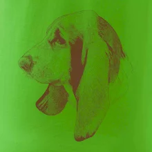 Basset - kreslená hlava