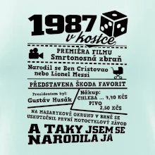 1987 v kostce