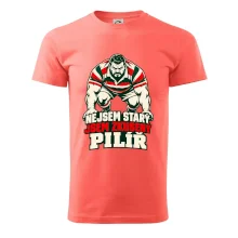 Nejsem starý, jsem zkušený pilíř