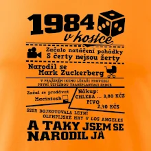 1984 v kostce