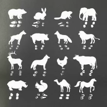 Zvířecí stopy s obrázkem zvířete - stopy zvířat