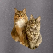 Kočky vectorizované  (Moňas)