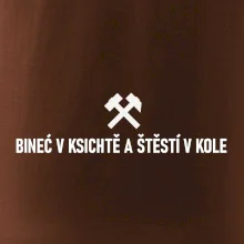 BINEĆ V KSICHTĚ A ŠTĚSTÍ V KOLE﻿