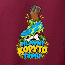 Hlavní kopyto týmu