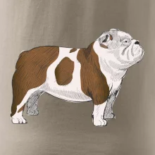 Vintage English bulldog