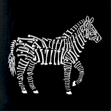Zebra Bones icons Zebra Bones icons