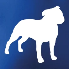 Americký stafordširský teriér  Na prsu