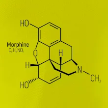 Molekulární struktura Morfin