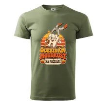 Odebírám moudrost na počkání