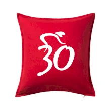 Cyklista slaví třicítku (30)