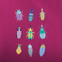 Barevní brouci (studio-arte.cz)