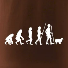 Evoluce pastevec ovcí