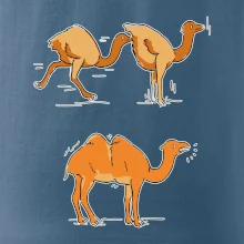 Pravda o velbloudech