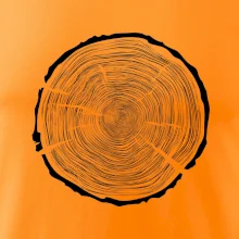 Letokruhy 100 bez věku