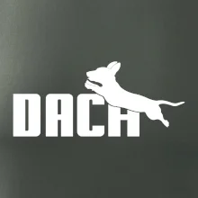 Jezevčík Dach