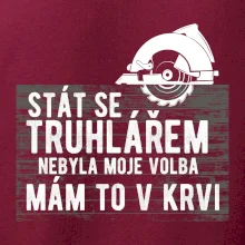 Stát se truhlářem nebyla moje volba