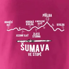Šumava ve stopě