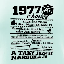 1977 v kostce