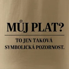 Můj plat? to jen taková symbolická pozornost