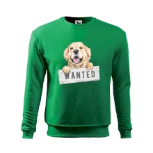 Zlatý retriever - štěně wanted