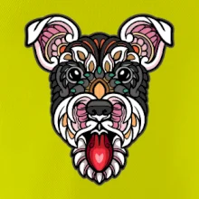 Knírač hlava barevná