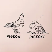 Pigeon pigeoff