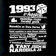 1993 v kostce