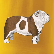 Vintage English bulldog