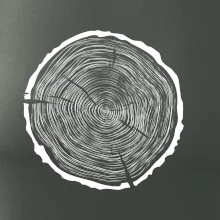 Letokruhy 60 bez věku