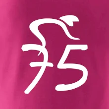 Cyklista slaví pětasedmdesátku (75)